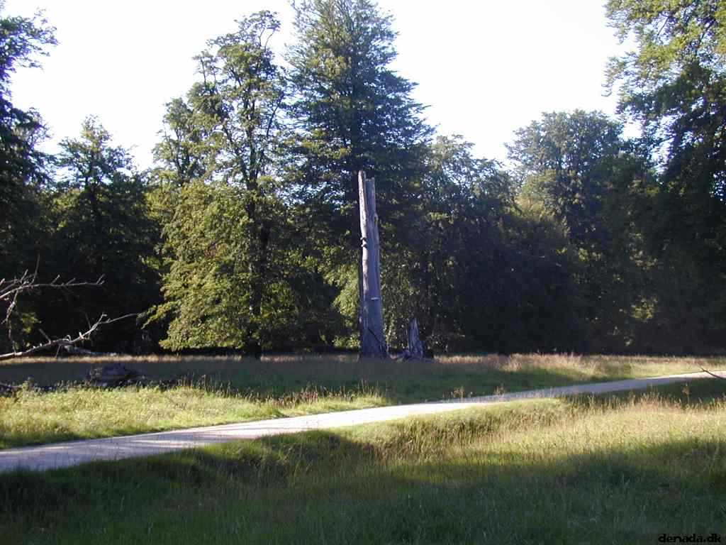 * Image 8