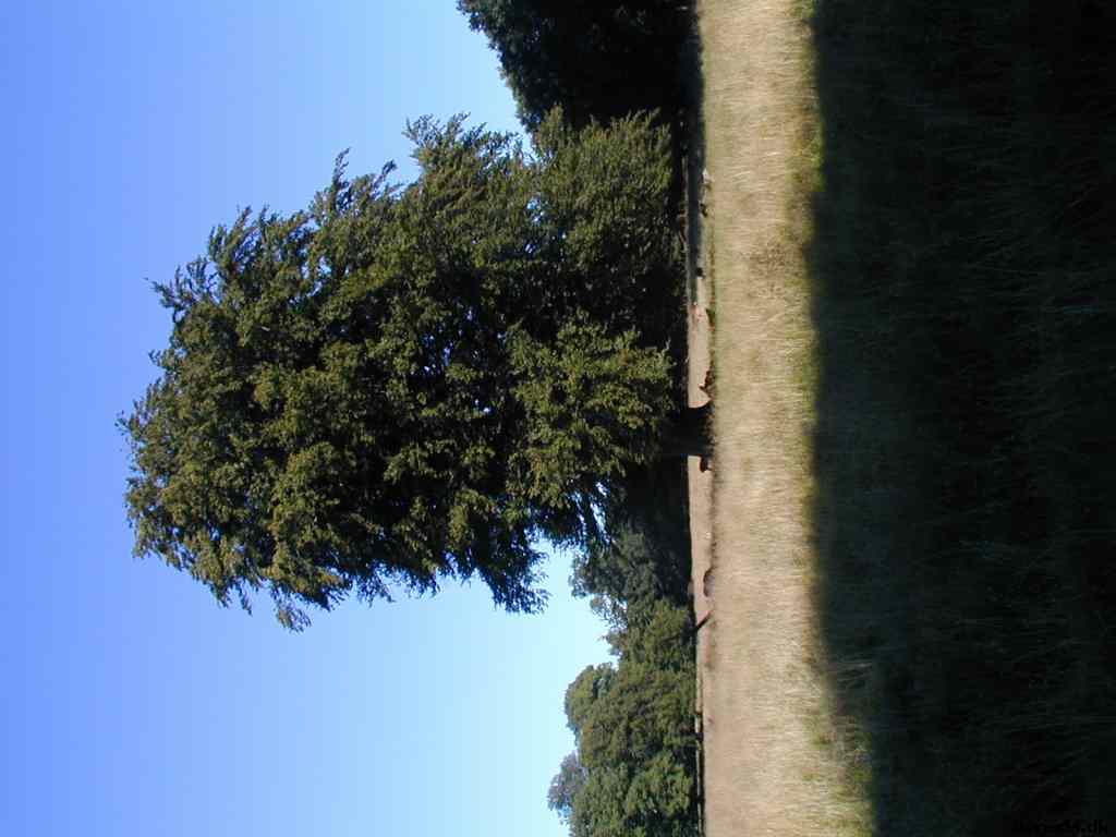 * Image 15