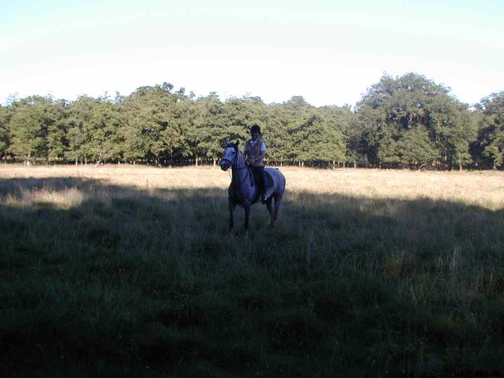 * Image 17