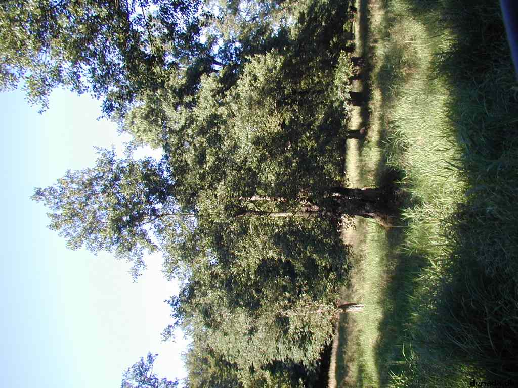 * Image 32