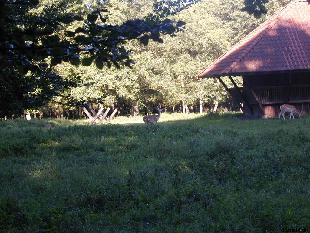 * Image 38