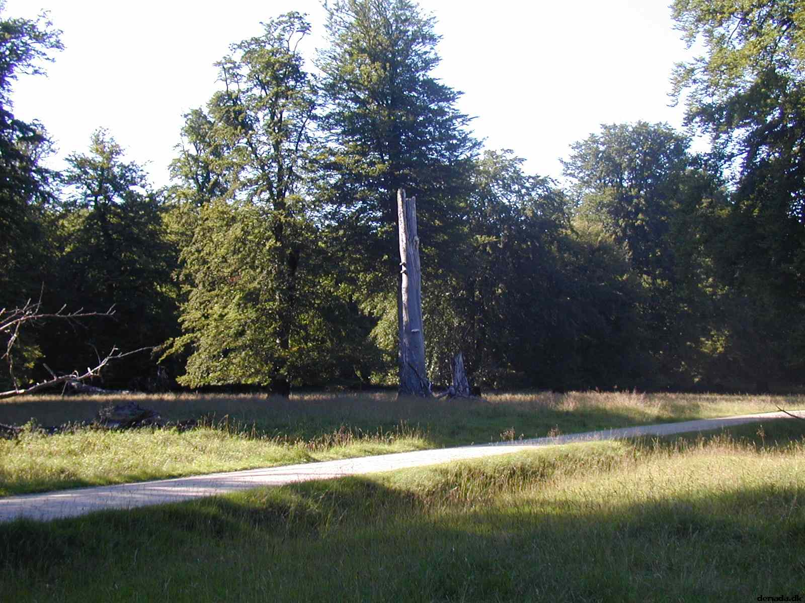 * Image 8