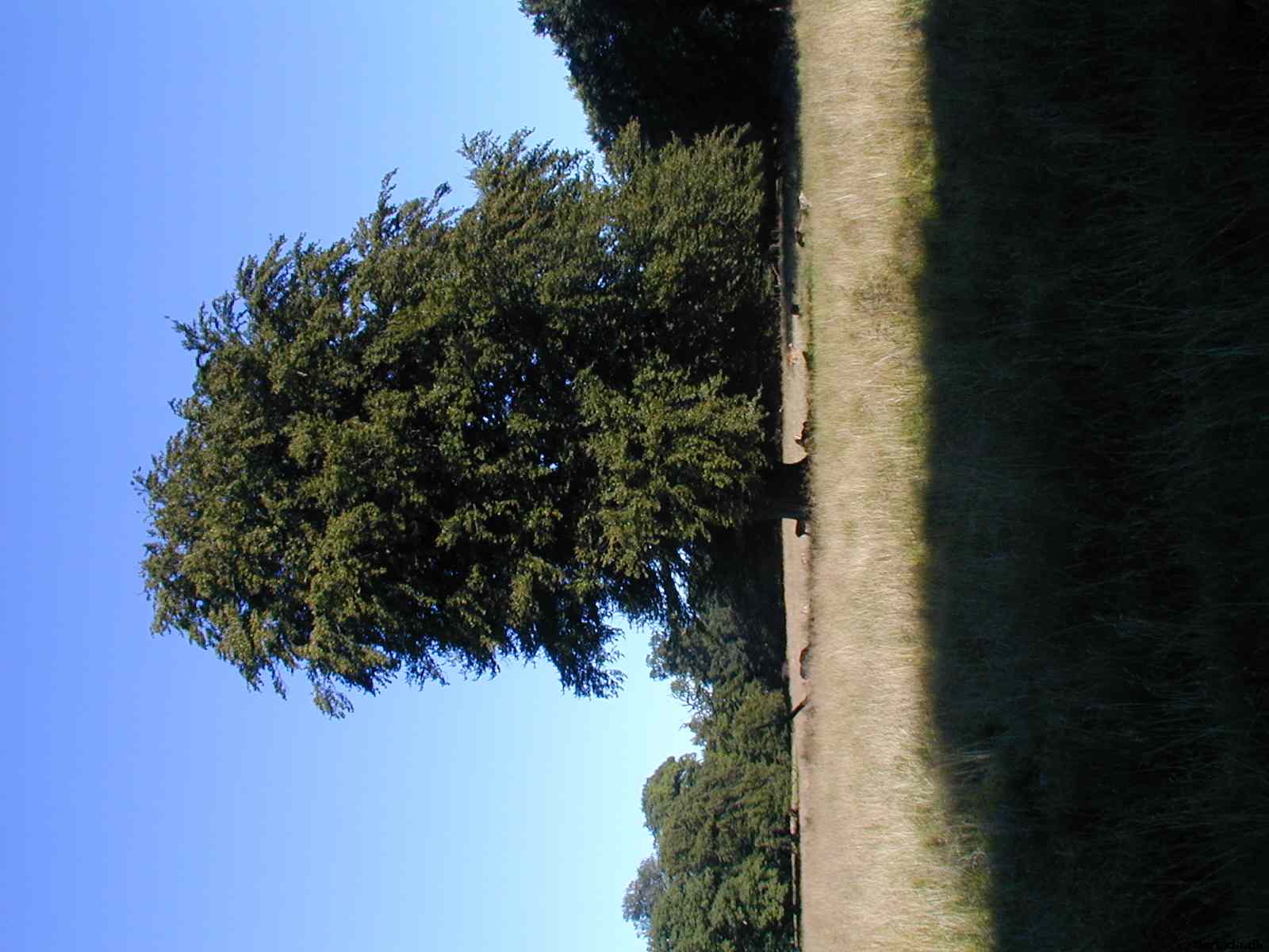 * Image 15