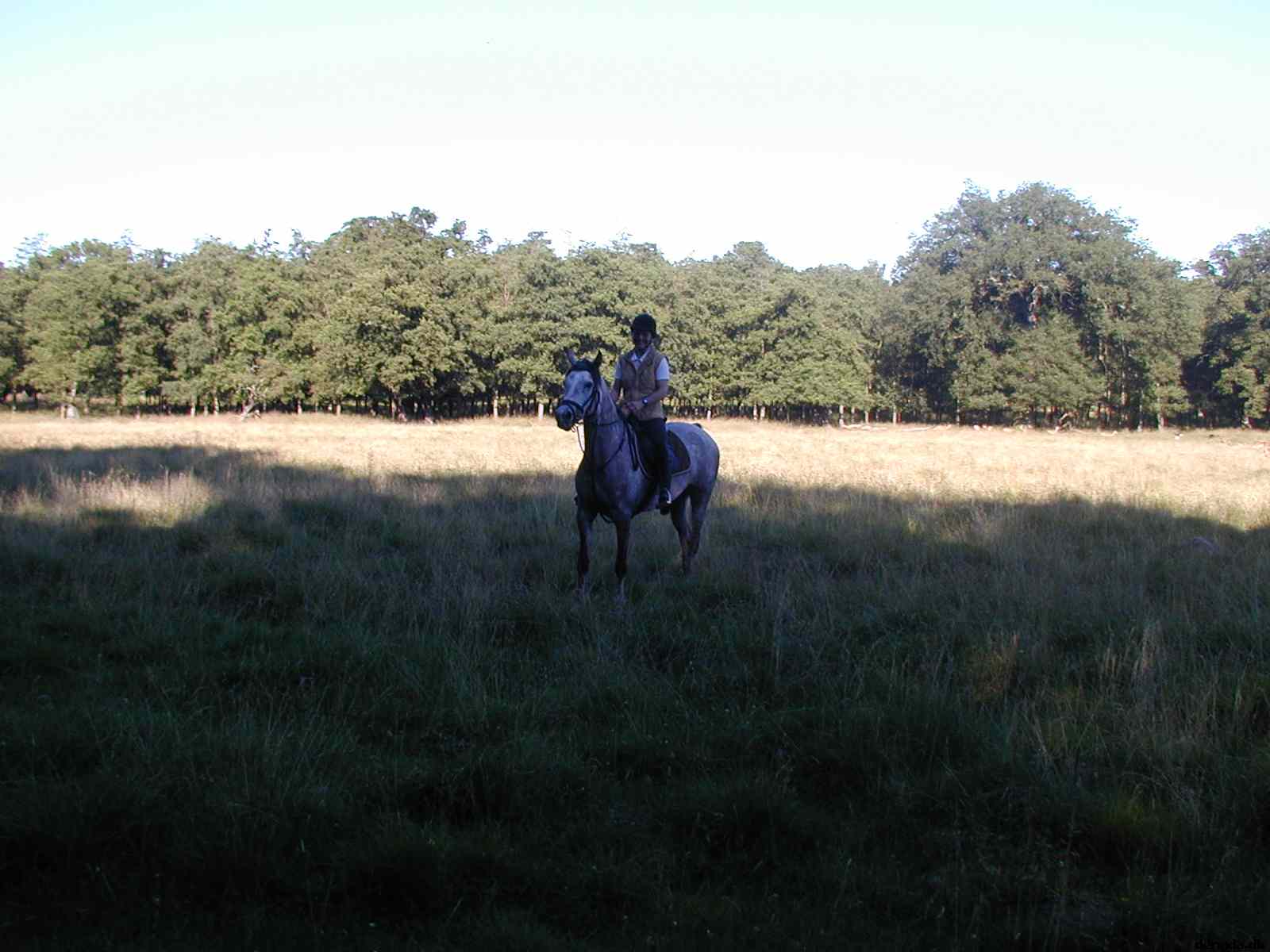 * Image 17