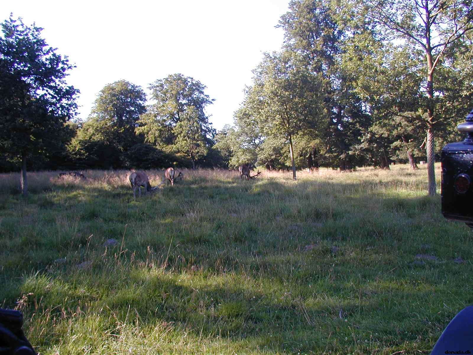 * Image 25