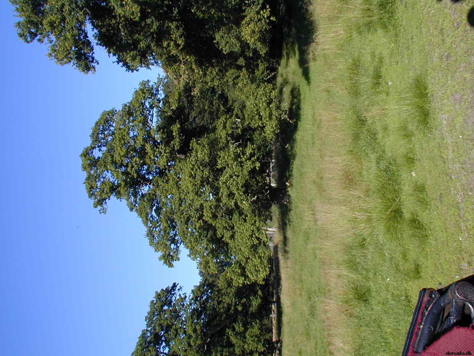 * Image 27