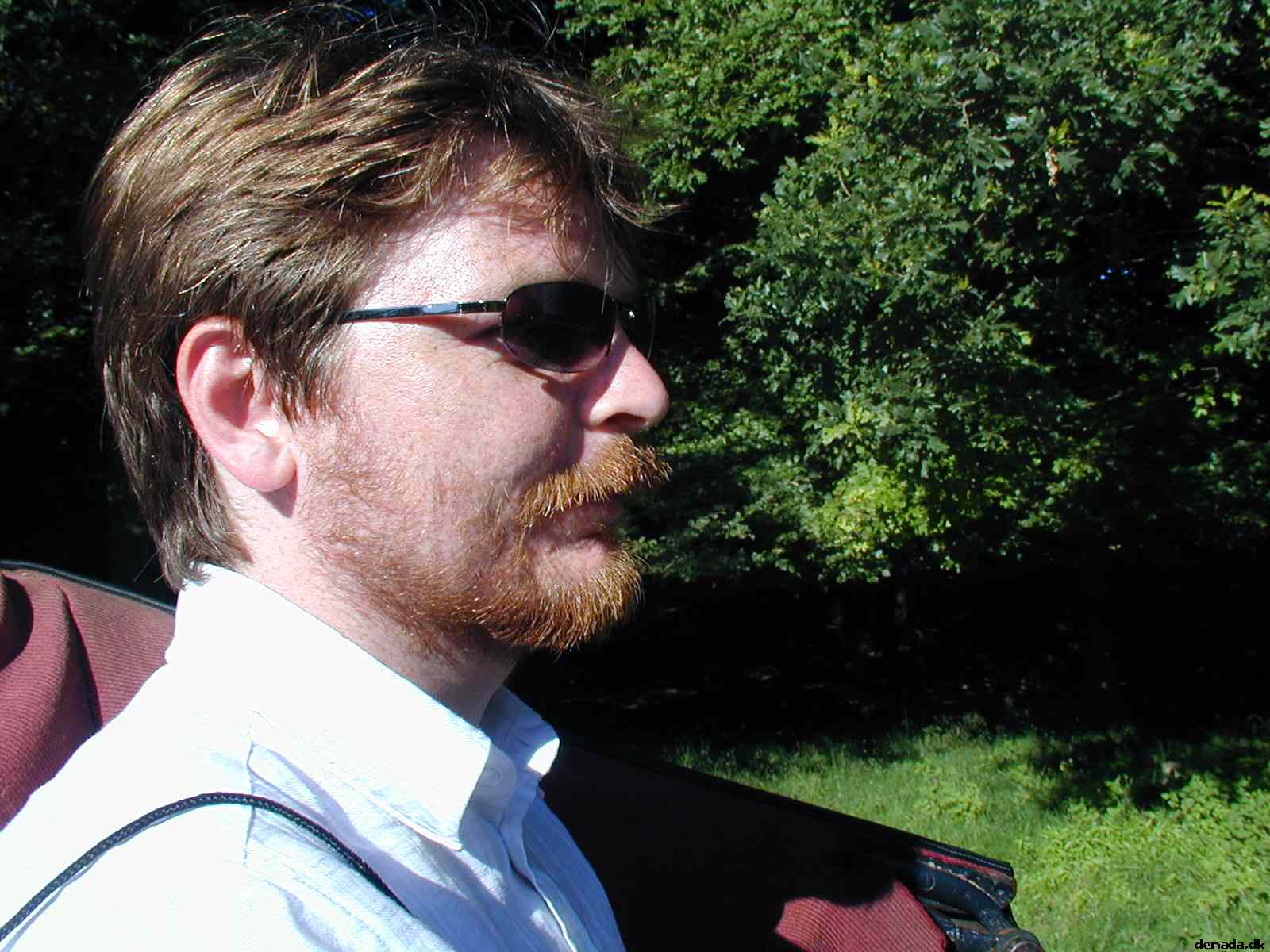 * Image 28