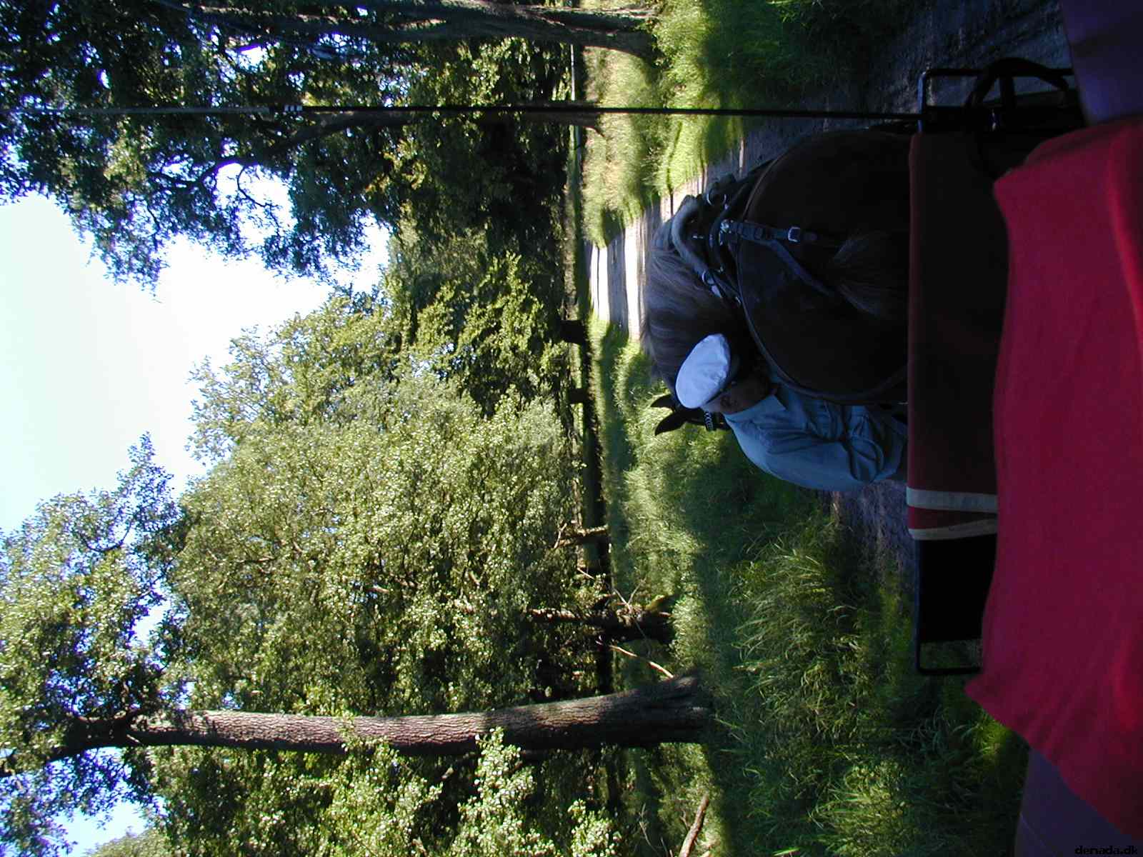 * Image 33