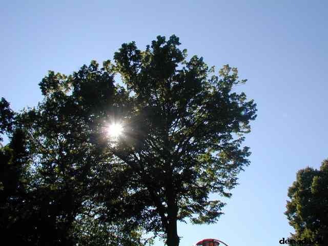 * Image 1
