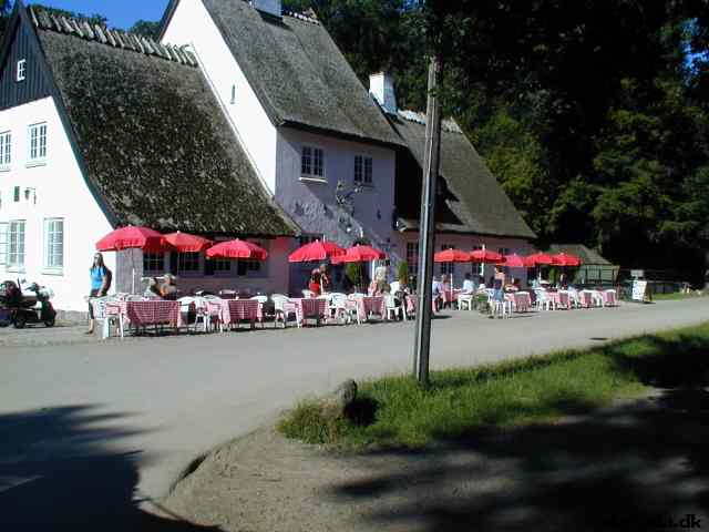 * Image 6