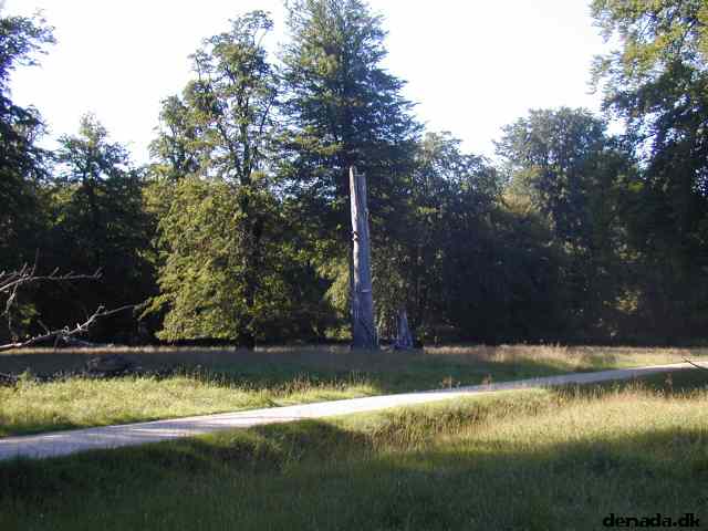 * Image 8