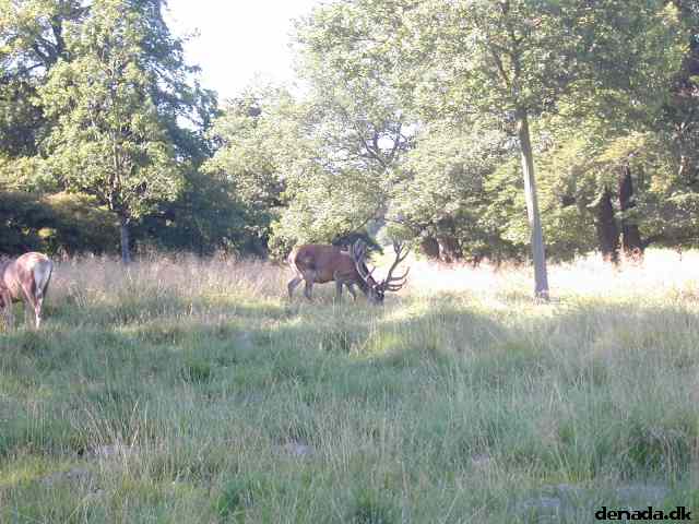 * Image 24