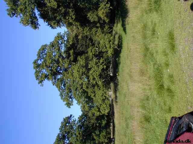 * Image 27
