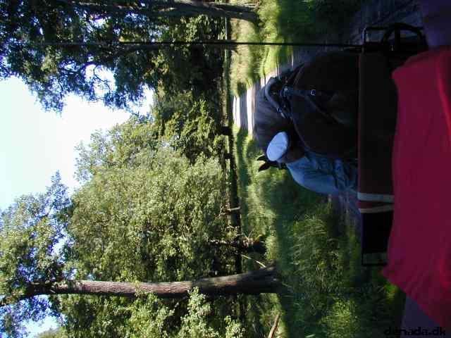 * Image 33