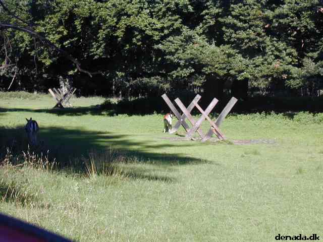 * Image 39