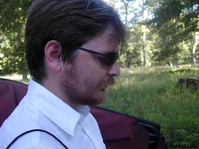 * Image 40