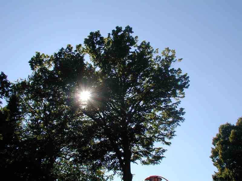 * Image 1