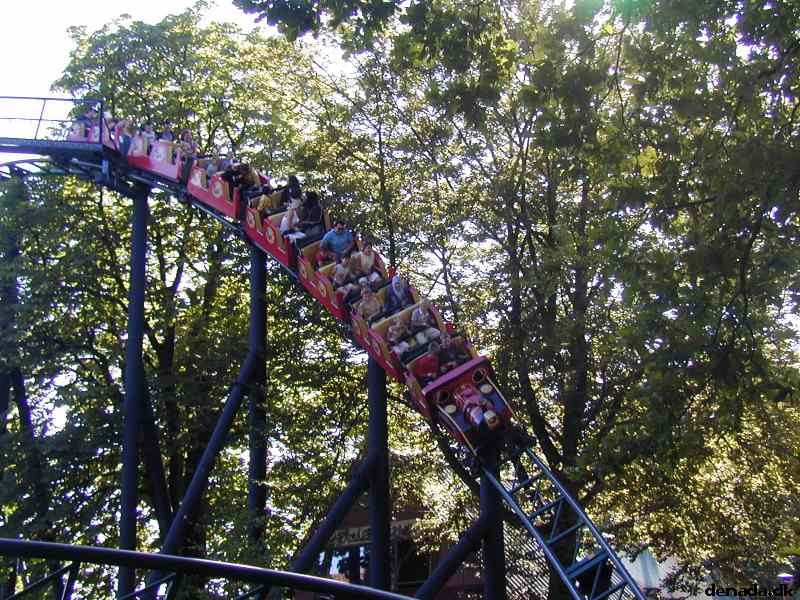 * Image 4