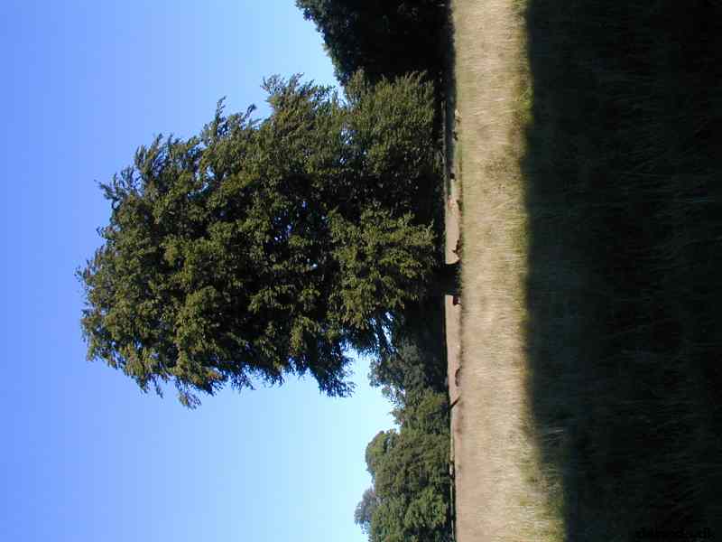 * Image 15