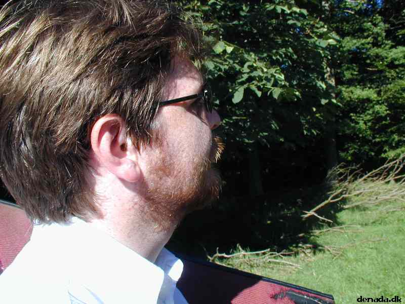 * Image 29