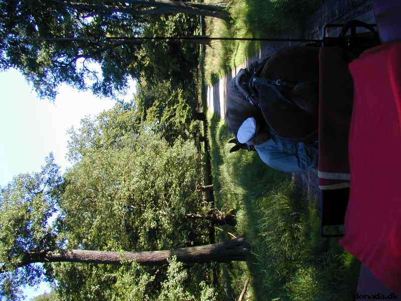 * Image 33