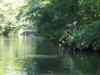 IMG_2174.JPG - 2004:07:29 18:30:09