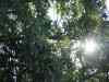 IMG_2209.JPG - 2004:07:29 19:06:52