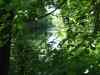 IMG_2243.JPG - 2004:07:29 19:42:47