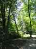 IMG_2256.JPG - 2004:07:29 19:49:57