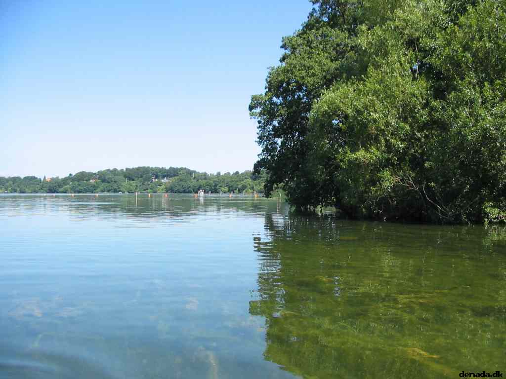* Image 5