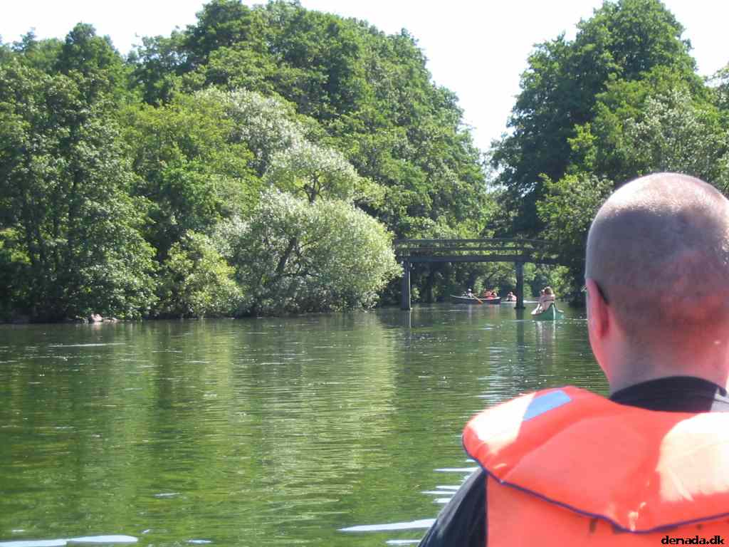 * Image 8