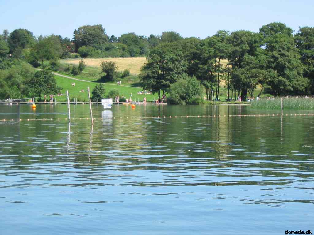 * Image 11