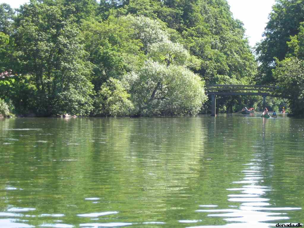 * Image 13