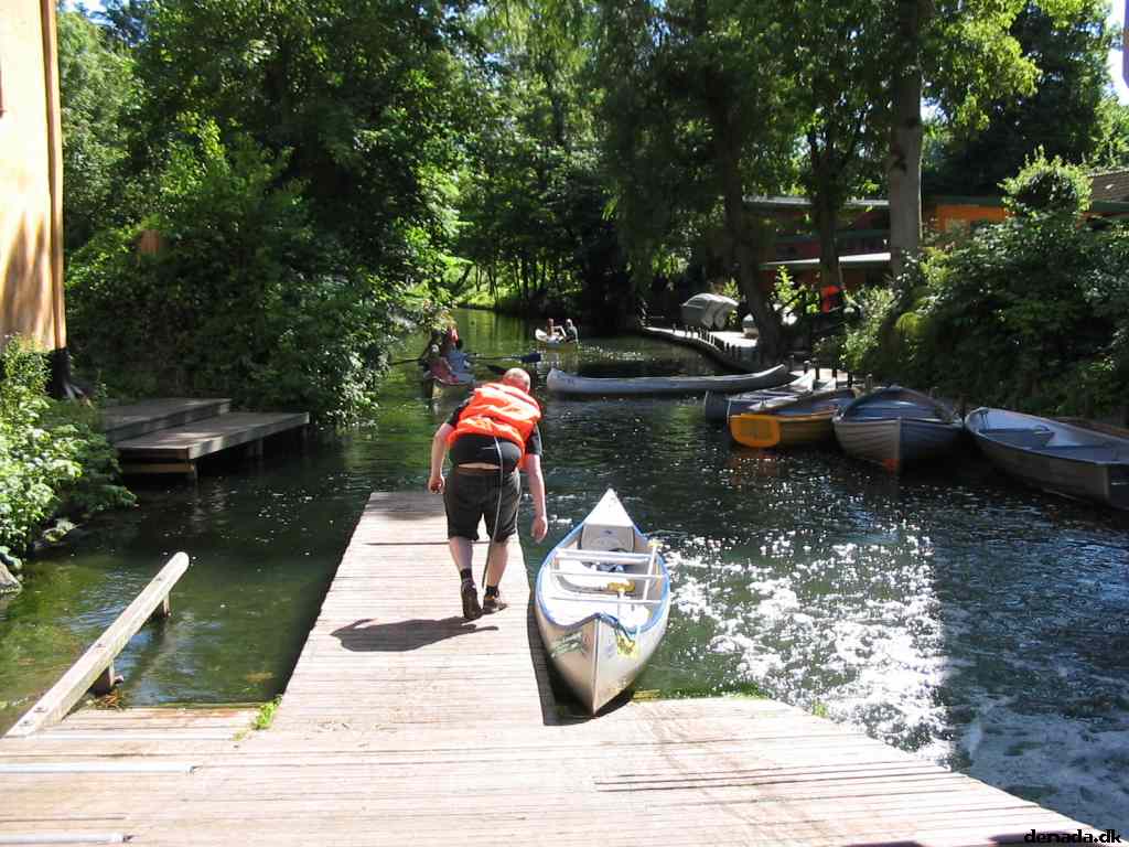 * Image 31