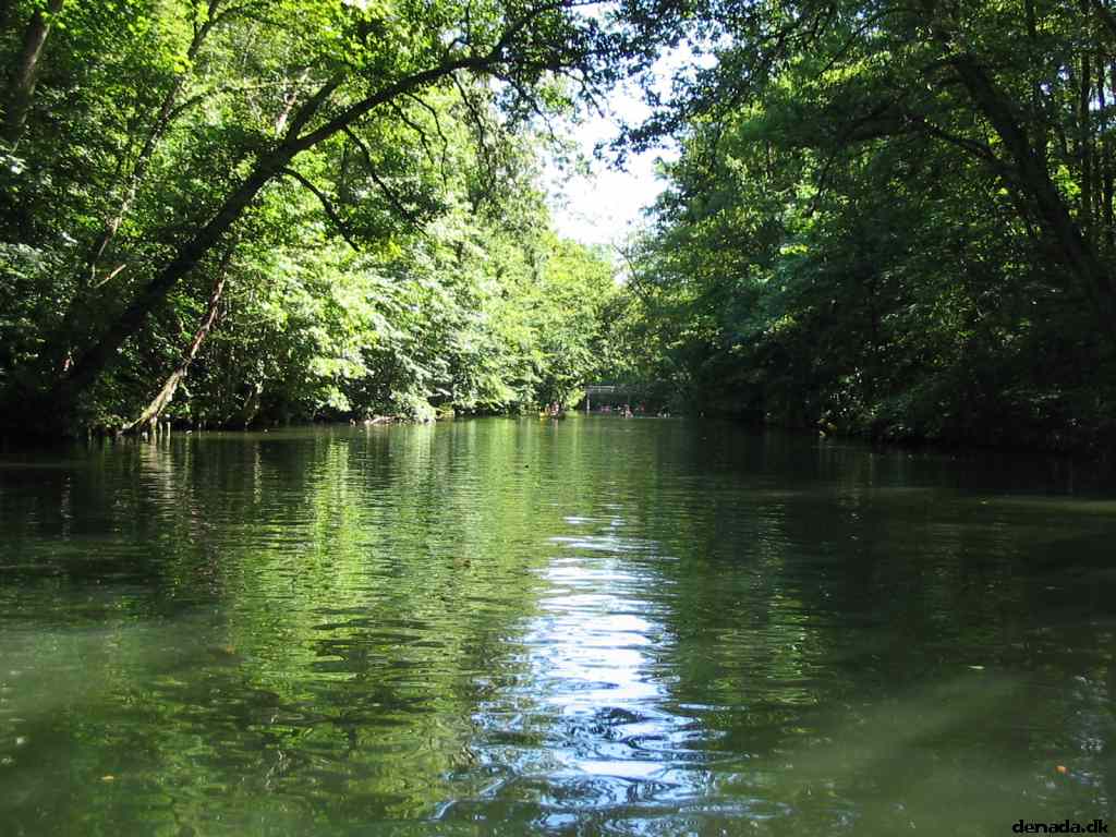 * Image 39