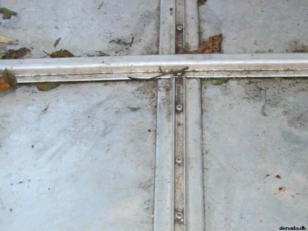 * Image 46