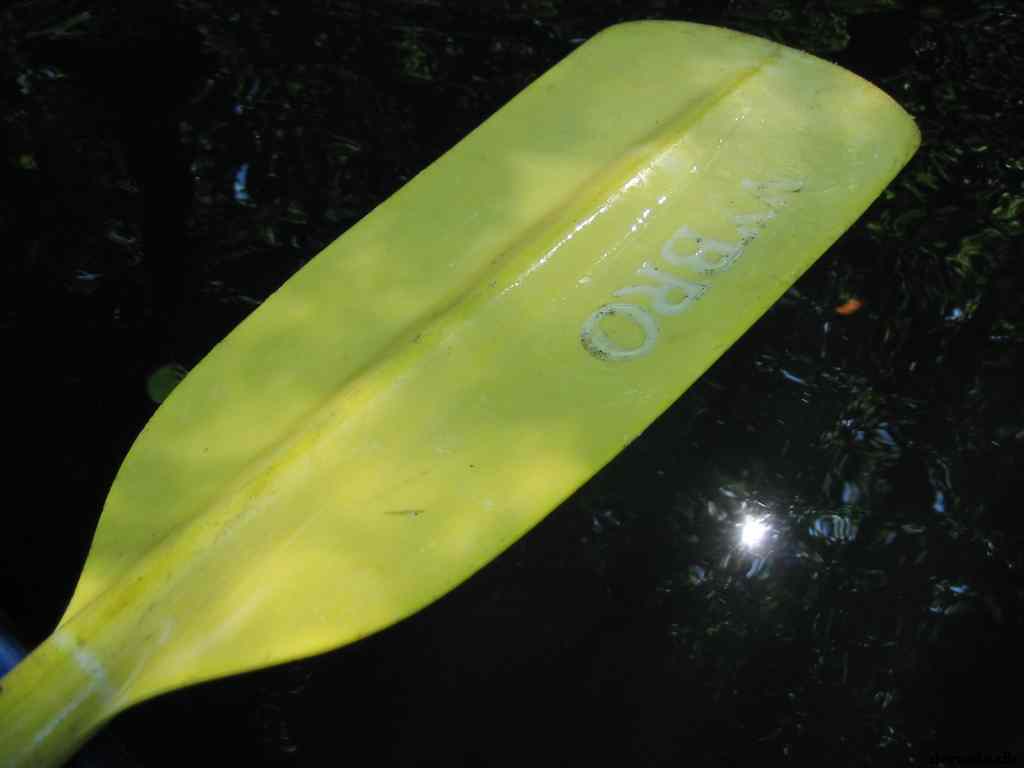 * Image 48