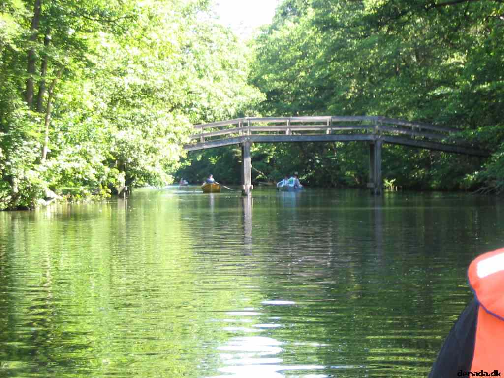 * Image 52