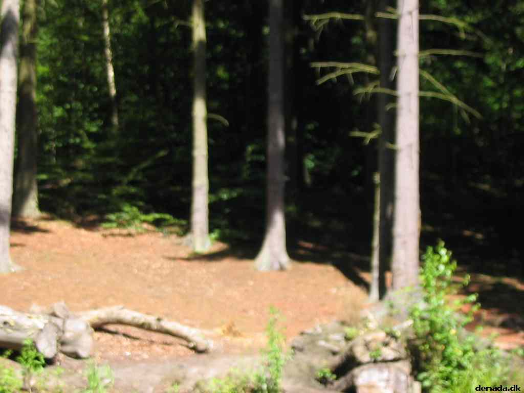 * Image 55