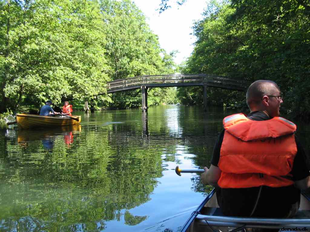 * Image 56