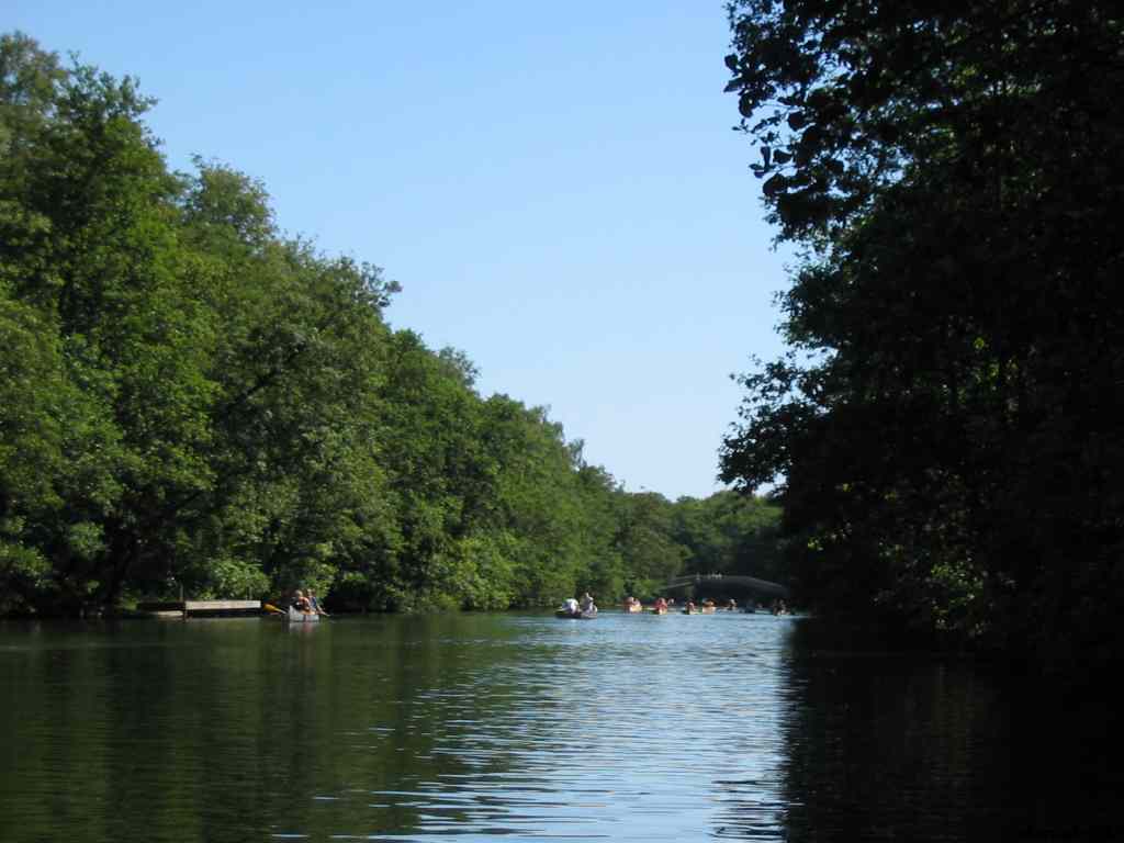 * Image 64