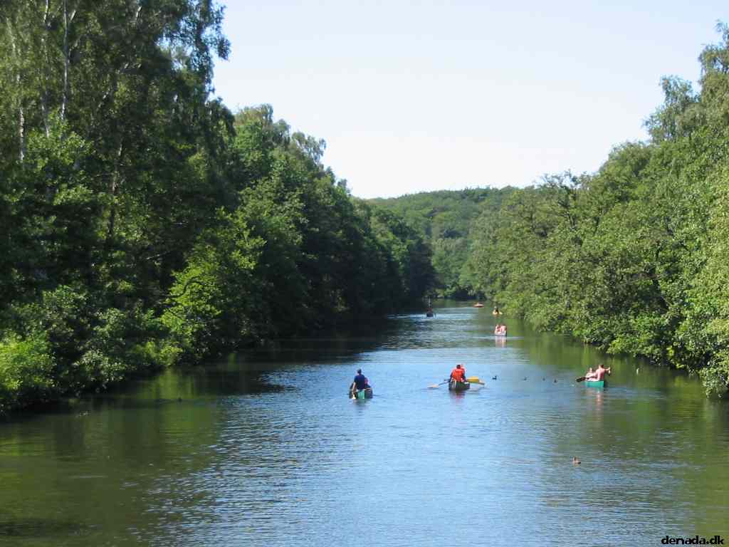 * Image 94