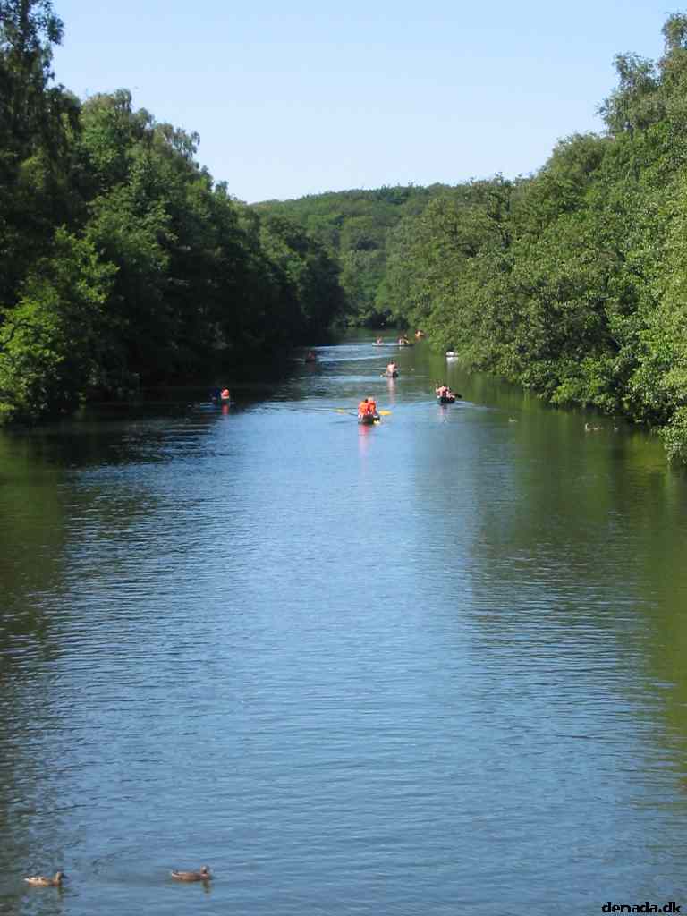 * Image 95