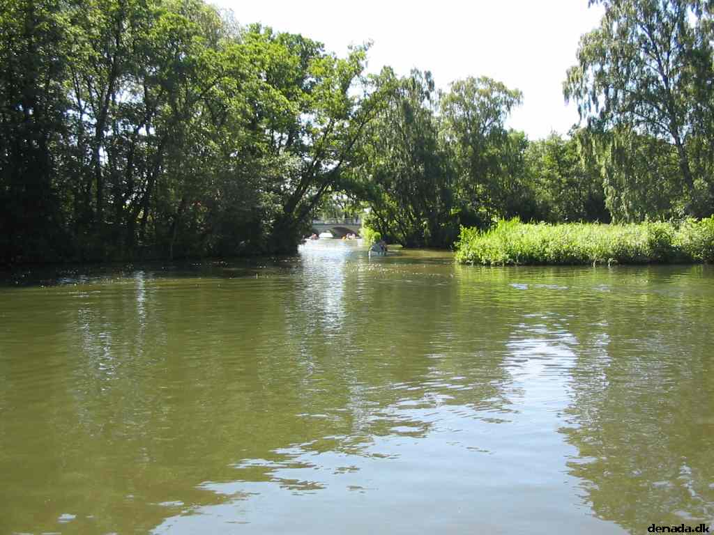 * Image 104