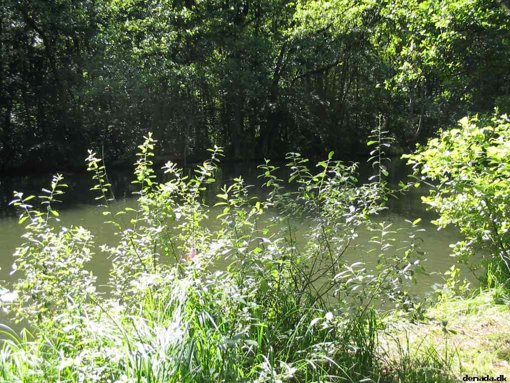 * Image 107