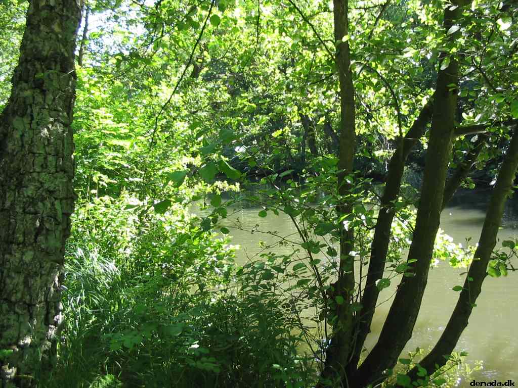 * Image 108