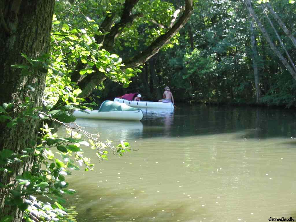 * Image 115