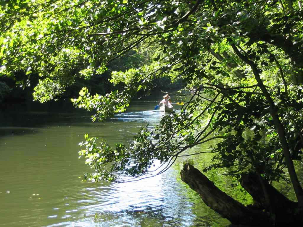 * Image 116