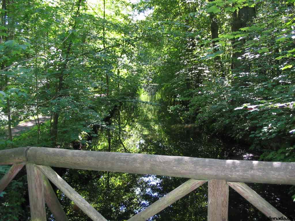* Image 120