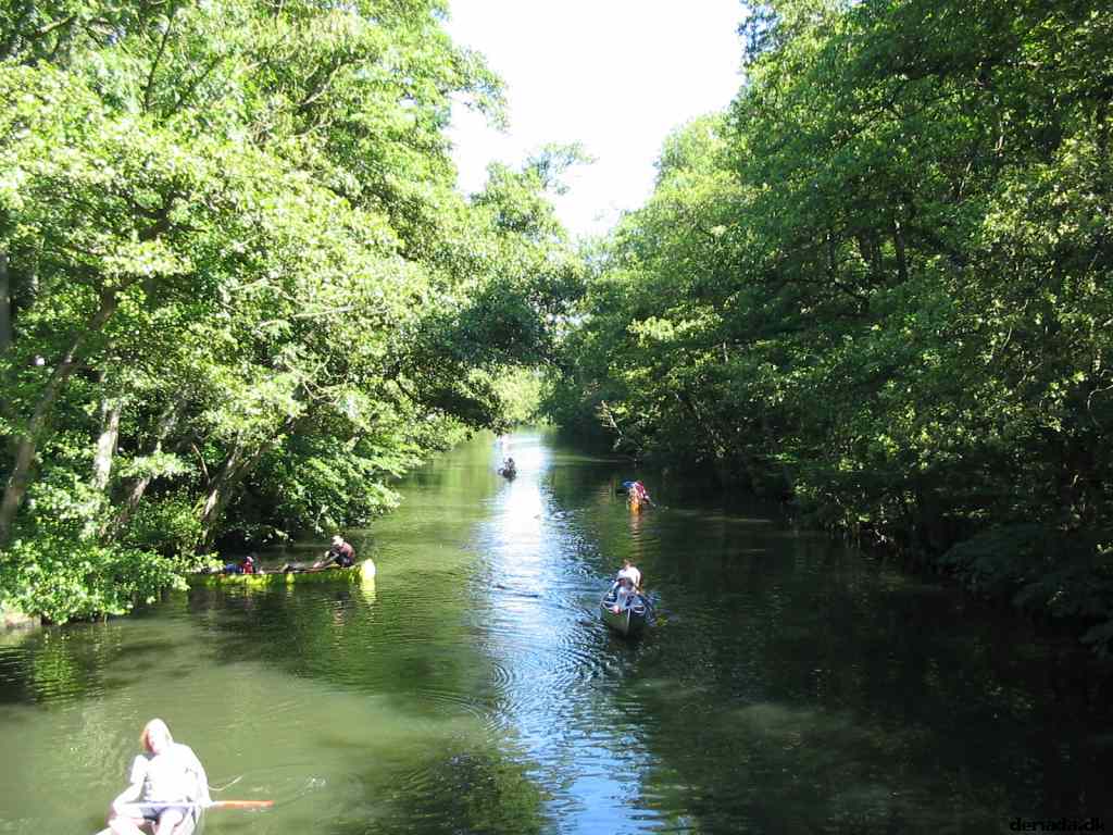 * Image 130